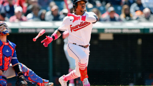 飞花而至 飞花而至