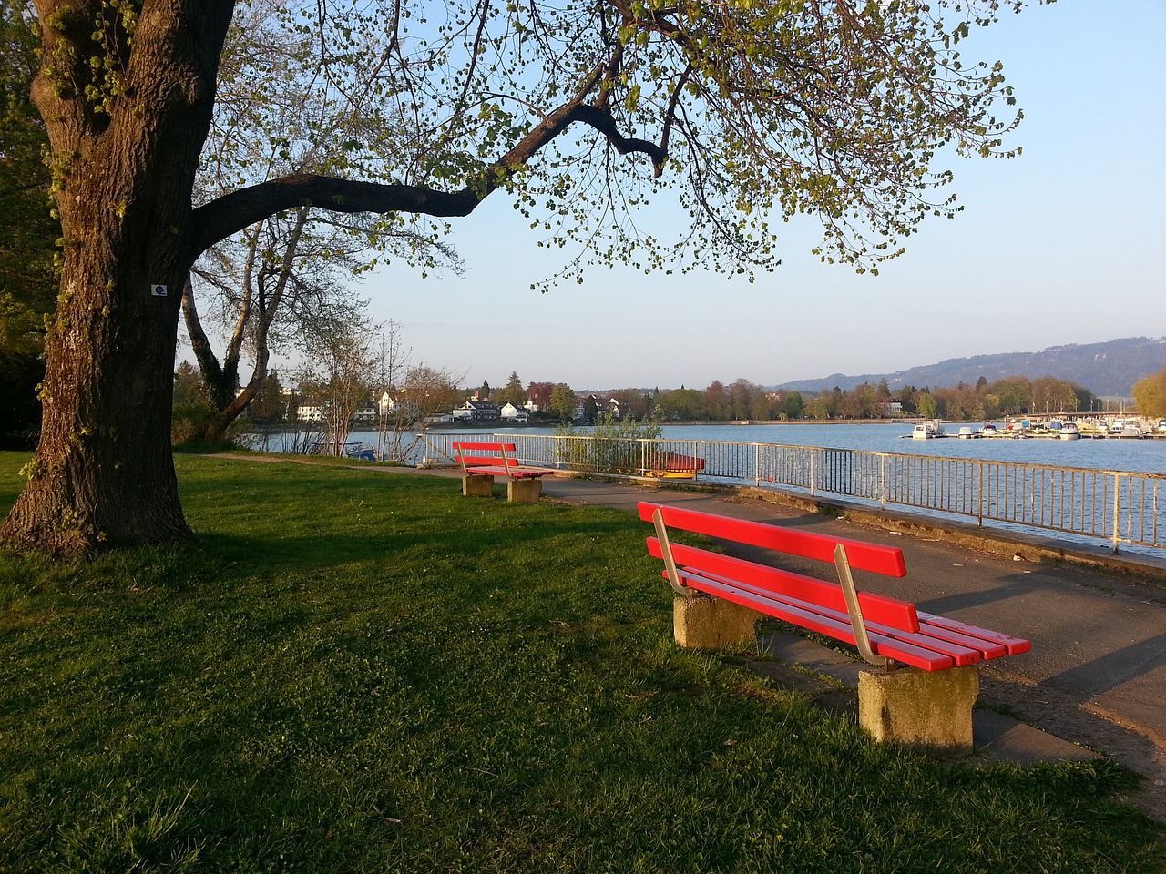 或许能从规 或许能从规